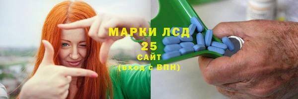 ГАЛЛЮЦИНОГЕННЫЕ ГРИБЫ Дмитриев